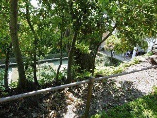 f:id:cangael:20150625234304j:image f:id:cangael:20150625234304j:image