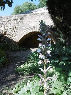 f:id:cangael:20150626162002j:image