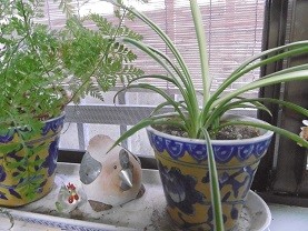 f:id:cangael:20150810175003j:image:right