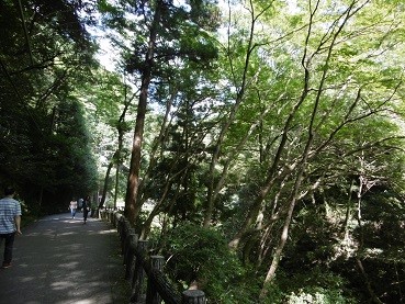 f:id:cangael:20150922124300j:image f:id:cangael:20150922124300j:image