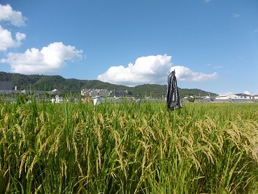 f:id:cangael:20150927145819j:image:left