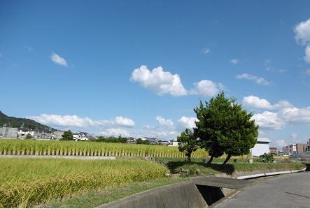 f:id:cangael:20151006142113j:image:left