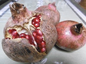 f:id:cangael:20151017164537j:image:left