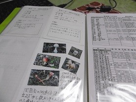 f:id:cangael:20151019013958j:image:left
