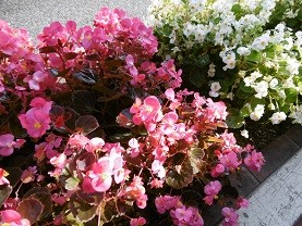 f:id:cangael:20151021115423j:image:left f:id:cangael:20151021115423j:image:left