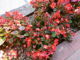 f:id:cangael:20151021115437j:image:left f:id:cangael:20151021115437j:image:left