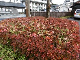 f:id:cangael:20151110134806j:image:right