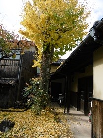 f:id:cangael:20151110134937j:image:right