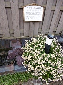 f:id:cangael:20151110140850j:image:left