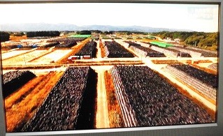 f:id:cangael:20151121211907j:image:left