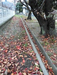 f:id:cangael:20151123160623j:image:right