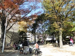 f:id:cangael:20151128115309j:image