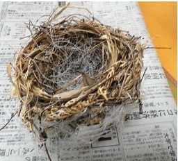 f:id:cangael:20151130104920j:image:right f:id:cangael:20151130104920j:image:right