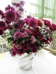 f:id:cangael:20151203134135j:image:right