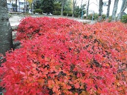 f:id:cangael:20151212162952j:image:right f:id:cangael:20151212162952j:image:right