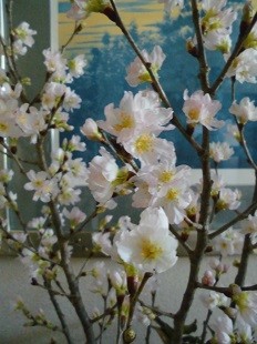 f:id:cangael:20160109123741j:image:right