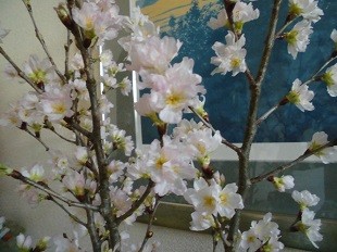 f:id:cangael:20160109123814j:image:right