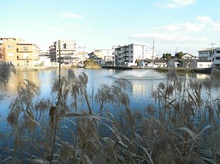 f:id:cangael:20160109152656j:image:left