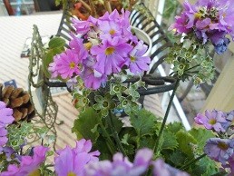 f:id:cangael:20160224154923j:image:right