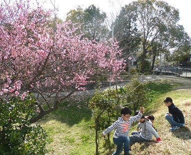 f:id:cangael:20160312144433j:image