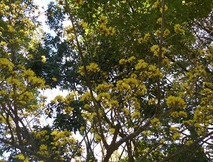f:id:cangael:20160312144748j:image