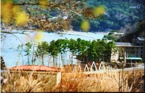 f:id:cangael:20160315162813j:image:left f:id:cangael:20160315162813j:image:left