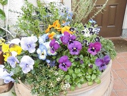 f:id:cangael:20160318103026j:image:left