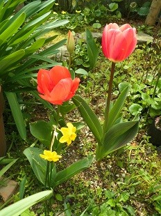 f:id:cangael:20160330103405j:image f:id:cangael:20160330103405j:image