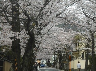 f:id:cangael:20160402154235j:image:right f:id:cangael:20160402154235j:image:right