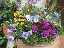 f:id:cangael:20160403083734j:image:right