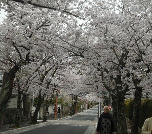 f:id:cangael:20160405130205j:image:right f:id:cangael:20160405130205j:image:right