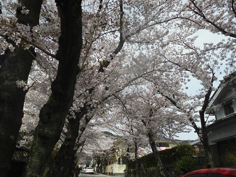 f:id:cangael:20160406130717j:image f:id:cangael:20160406130717j:image