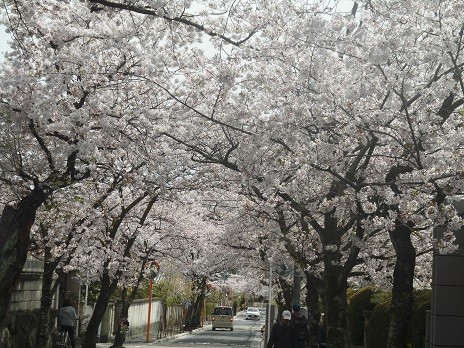 f:id:cangael:20160406130744j:image f:id:cangael:20160406130744j:image