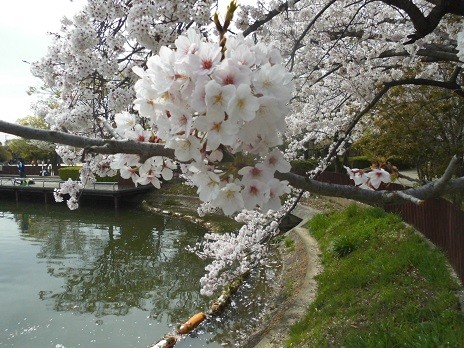 f:id:cangael:20160406135211j:image f:id:cangael:20160406135211j:image