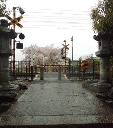 f:id:cangael:20160407112920j:image:left f:id:cangael:20160407112920j:image:left