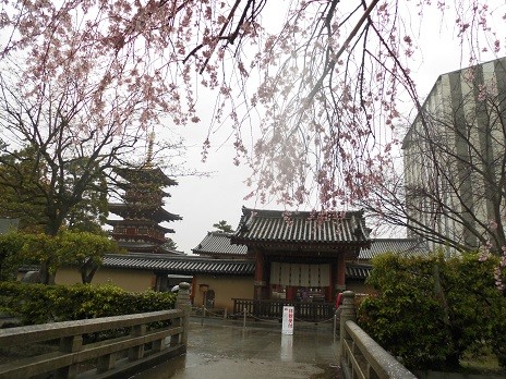 f:id:cangael:20160407113416j:image f:id:cangael:20160407113416j:image