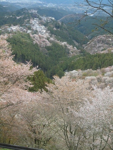 f:id:cangael:20160408090237j:image