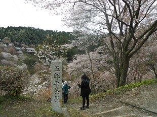 f:id:cangael:20160408115026j:image:left