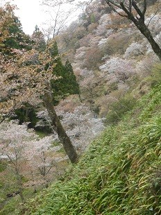 f:id:cangael:20160408120155j:image:right f:id:cangael:20160408120155j:image:right