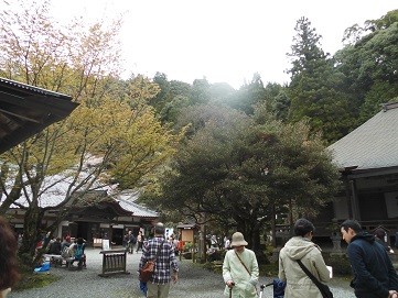 f:id:cangael:20160408121003j:image f:id:cangael:20160408121003j:image