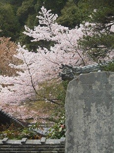 f:id:cangael:20160408121342j:image:right f:id:cangael:20160408121342j:image:right