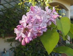 f:id:cangael:20160420071449j:image:right