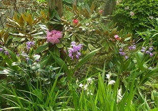 f:id:cangael:20160501155716j:image:left