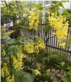 f:id:cangael:20160505181146j:image:left