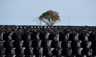 f:id:cangael:20160507173417j:image:right f:id:cangael:20160507173417j:image:right