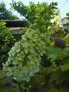 f:id:cangael:20160522122350j:image:right f:id:cangael:20160522122350j:image:right