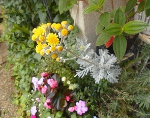 f:id:cangael:20160606105417j:image:right f:id:cangael:20160606105417j:image:right