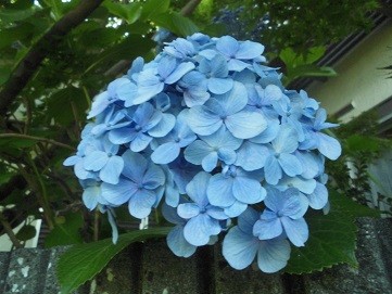 f:id:cangael:20160614153421j:image