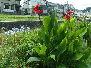 f:id:cangael:20160623144213j:image:right