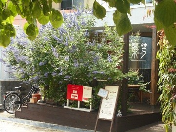 f:id:cangael:20160623144703j:image:left